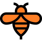 bee orange