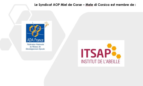 Ada france itsap Ada france itsap